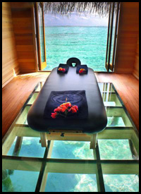 plancher de verre