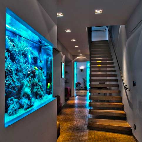 Exemple d'aquarium en verre