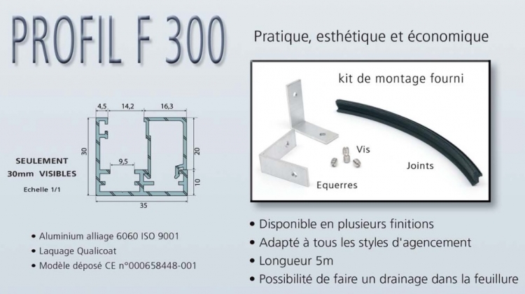 Profil F300 Noir Satiné 2,5m pour verre sur chassis fixe en cloison