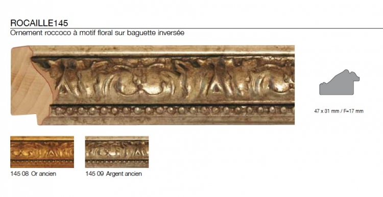 photo info Encadrement Rocaille 145 09 argent précoupé